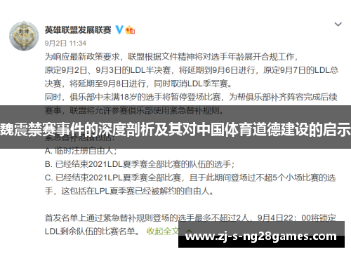 魏震禁赛事件的深度剖析及其对中国体育道德建设的启示