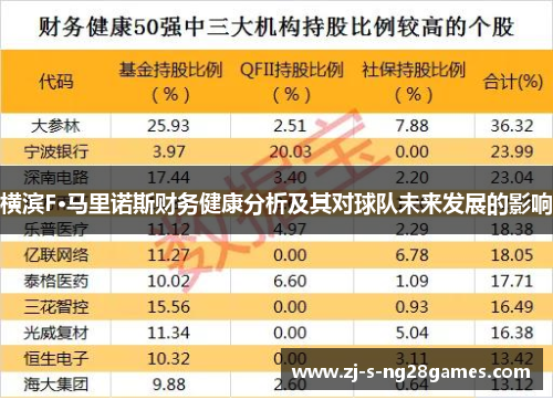 横滨F·马里诺斯财务健康分析及其对球队未来发展的影响